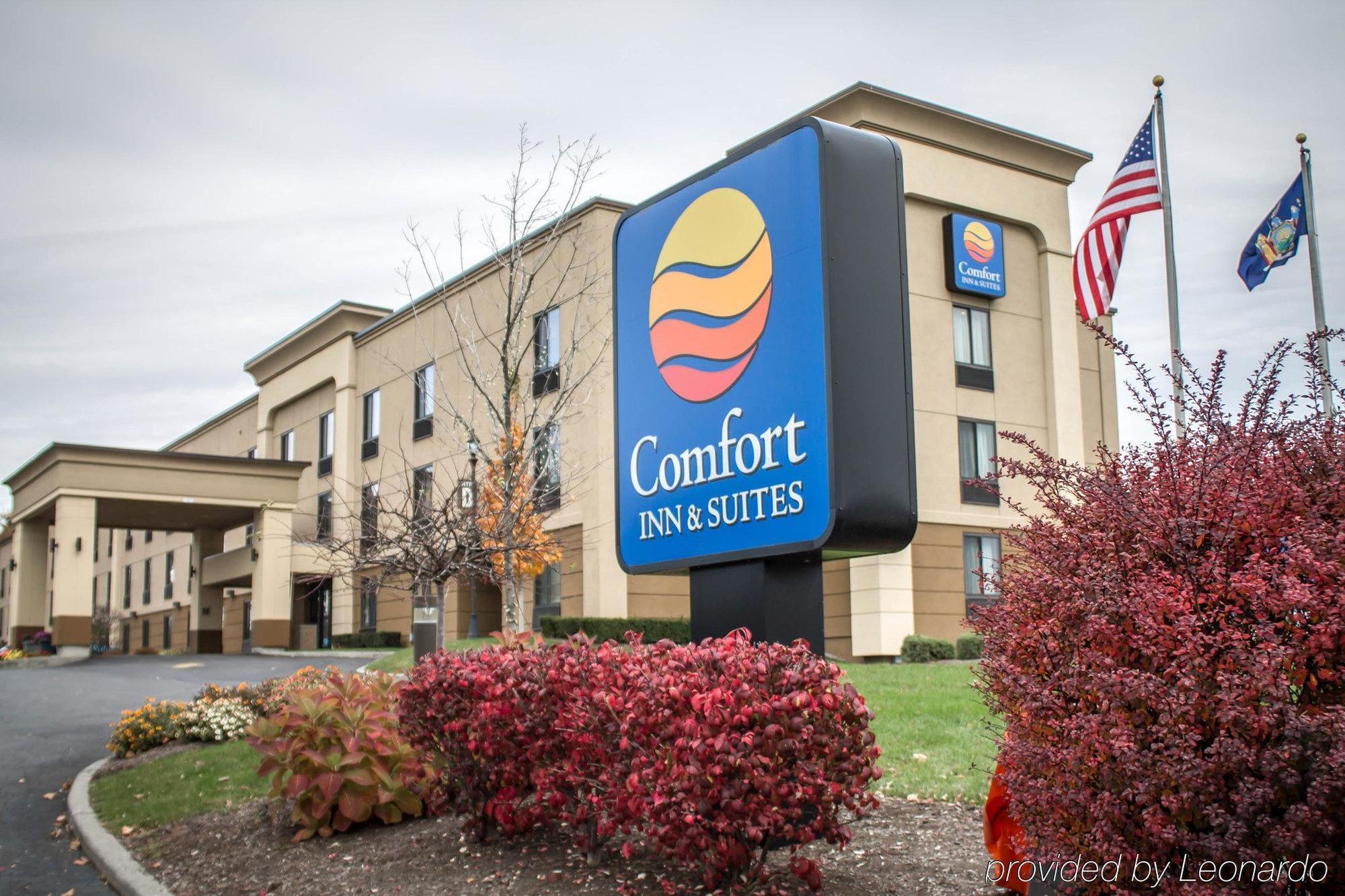 Holiday Inn Express & Suites - Albany Airport - Wolf Road By Ihg Exterior photo